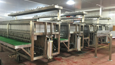Plate Freezer Frames